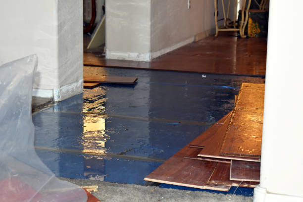 Professional Burst Pipe Cleanup technician working in Wales, MA